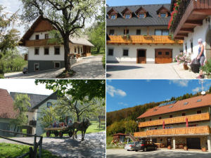 Collage of Lake Bled farm stays