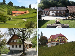 Collage of Slovenia farm stays