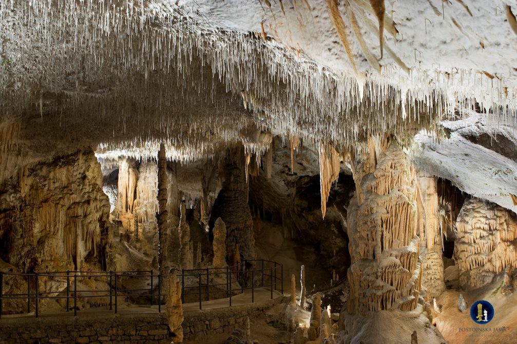 Spaghetti Hall Stalactites in Postojna Cave, Slovenia