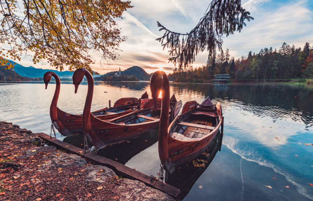 Ornate carved wooden swan boats in the morning sun at Lake Bled, Slovenia