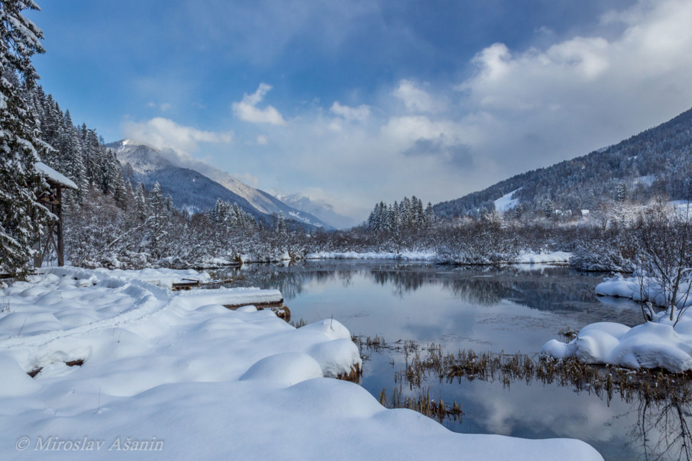 Lake Zelenci transformed into a winter wonderland when decorated by a covering of snow