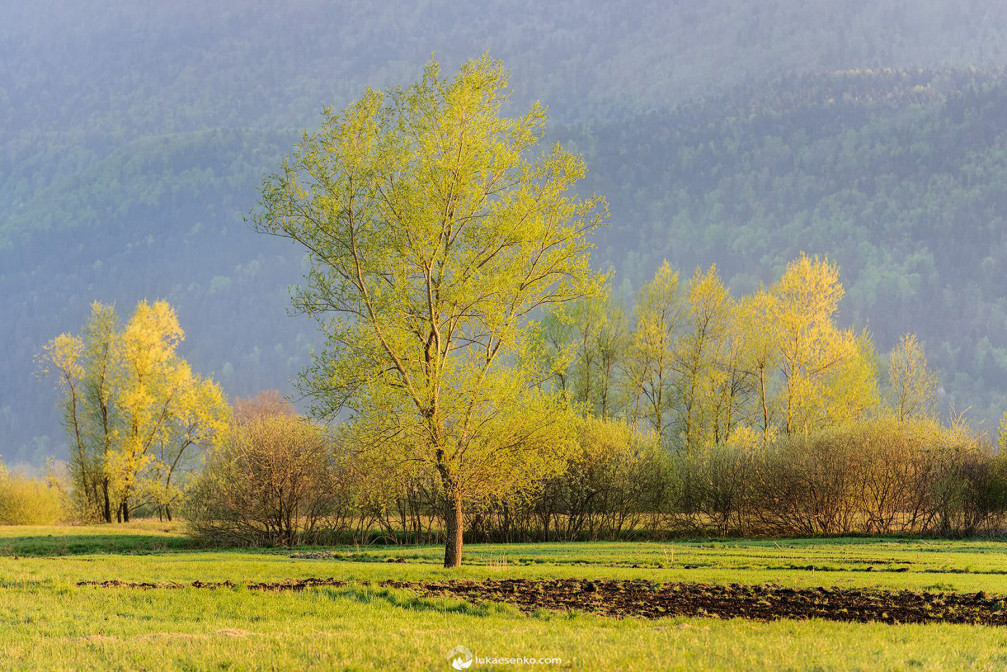 Ljubljana marshlands in Slovenia