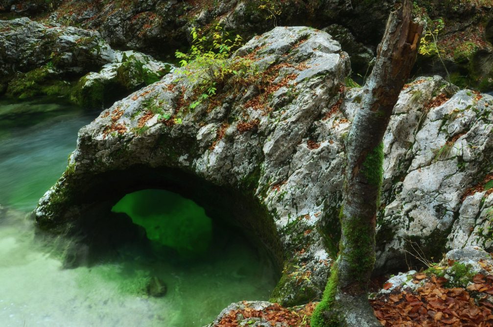 A hollowed rocky arch resembling an elephant in the Mostnica Gorge near Bohinj in Slovenia