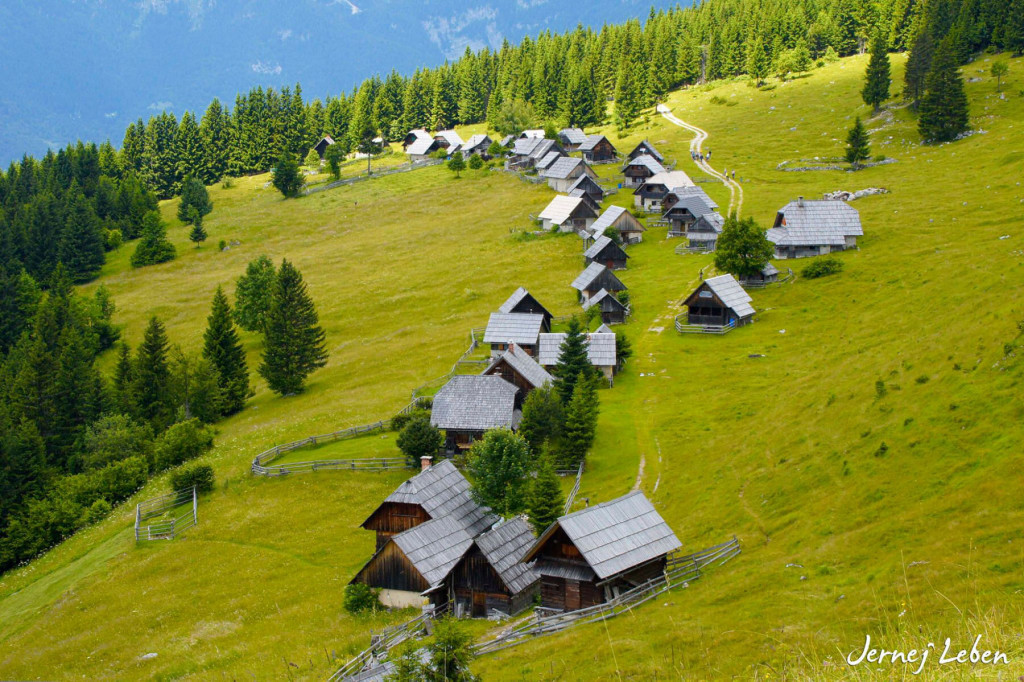 Zajamniki alpine pasture with well preserved shepherds huts on the Pokljuka plateau in Slovenia