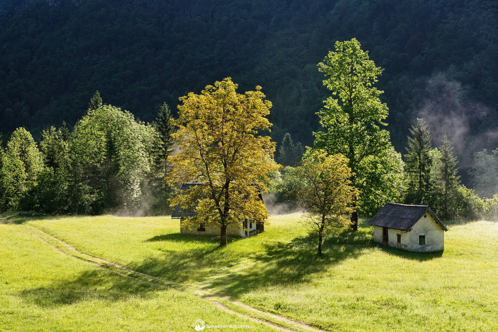 The mist gently rising behind the cottages in the idyllic valley of Voje near Lake Bohinj