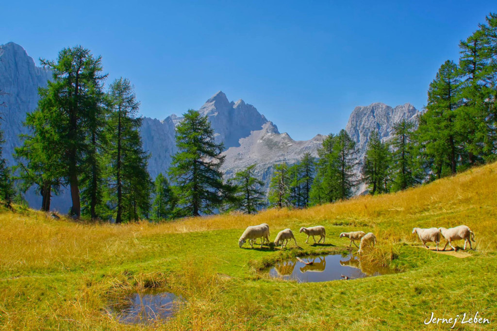 Triglav National Park covers almost 4 percent of the entire Slovenia