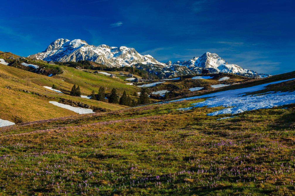 Velika planina is the largest highland pasture in Slovenia