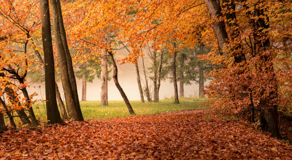 Autumn is the most picturesque time of year in the Zavrsnica valley in Slovenia