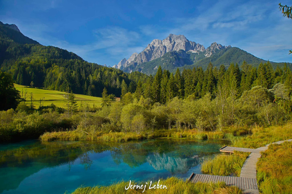 Zelenci Nature Reserve in Slovenia