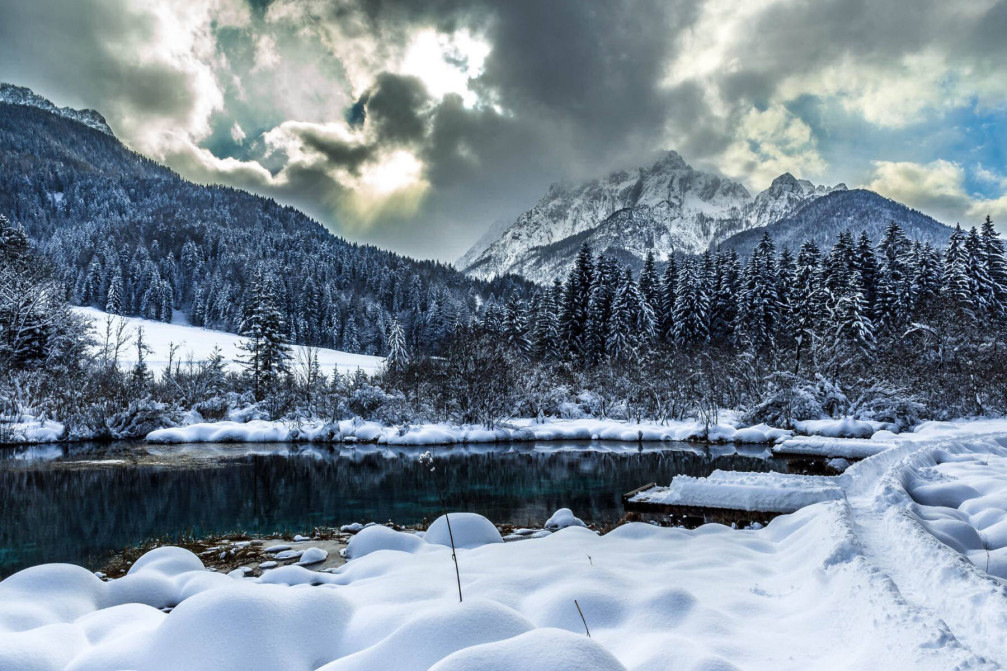 Lake Zelenci, Slovenia in winter time