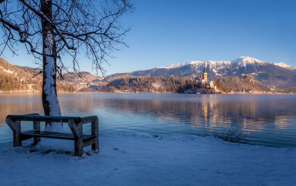 A lakeside bench with a view of Bled Island in winter