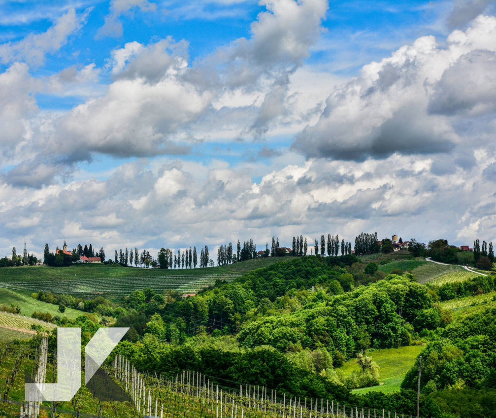 The Ljutomer Ormoz  wine region of Slovenia