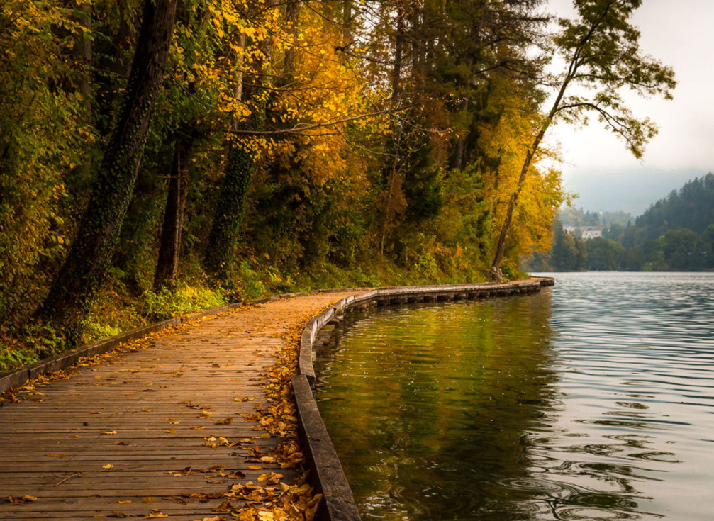 Lake Bled walkway, Slovenia