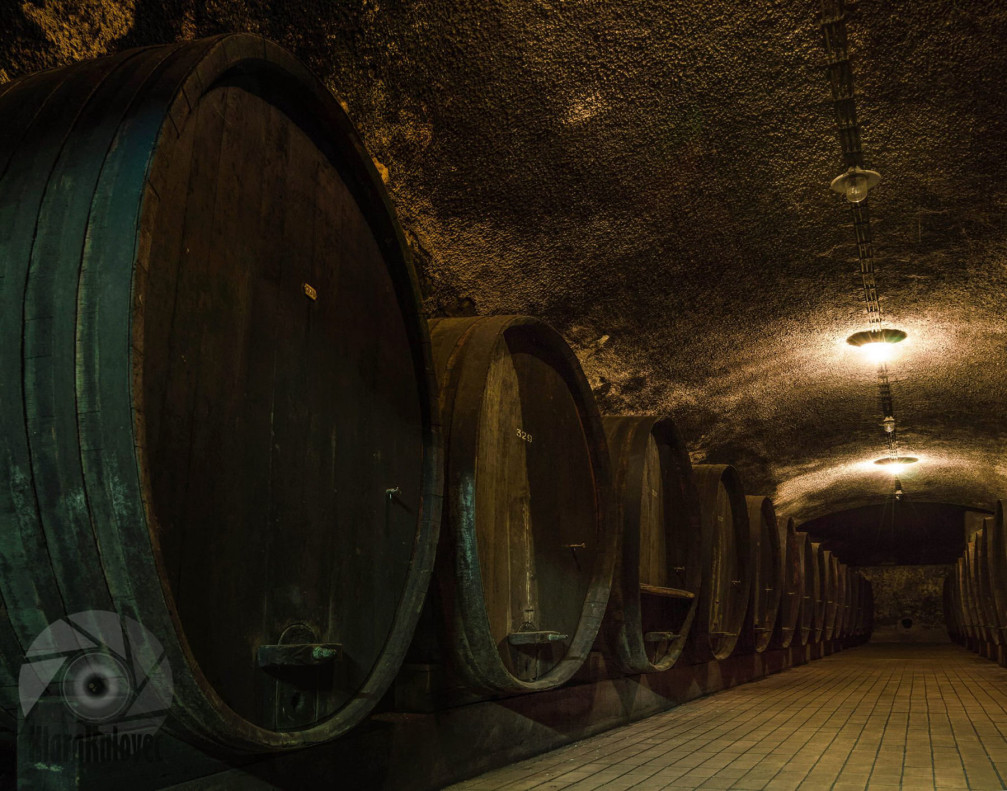 The Vinag wine cellar in Maribor, Slovenia with wooden barrels everywhere you look