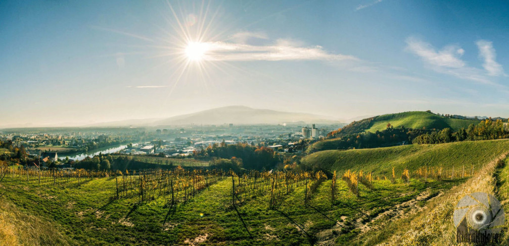 The city of Maribor as seen from the Meljski Hrib hill