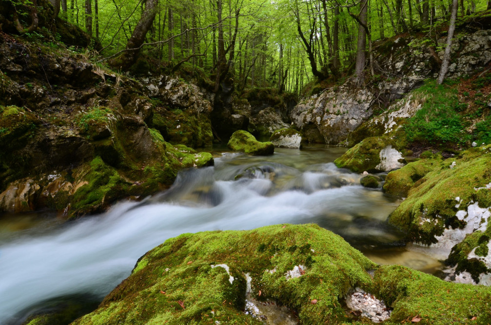 Mostnica Gorge is one of the most beautiful natural attractions in the Lake Bohinj area, Slovenia