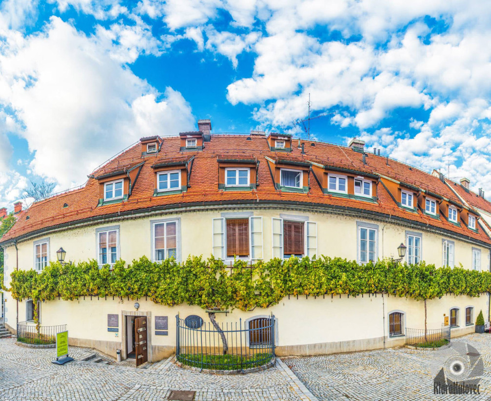 Old Vine House with the oldest grape vine in the world, Lent, Maribor, Slovenia