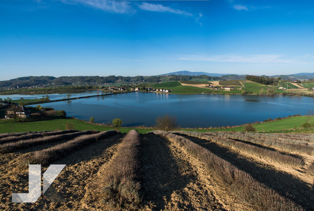 The beautiful Lake Pernica, Slovenia