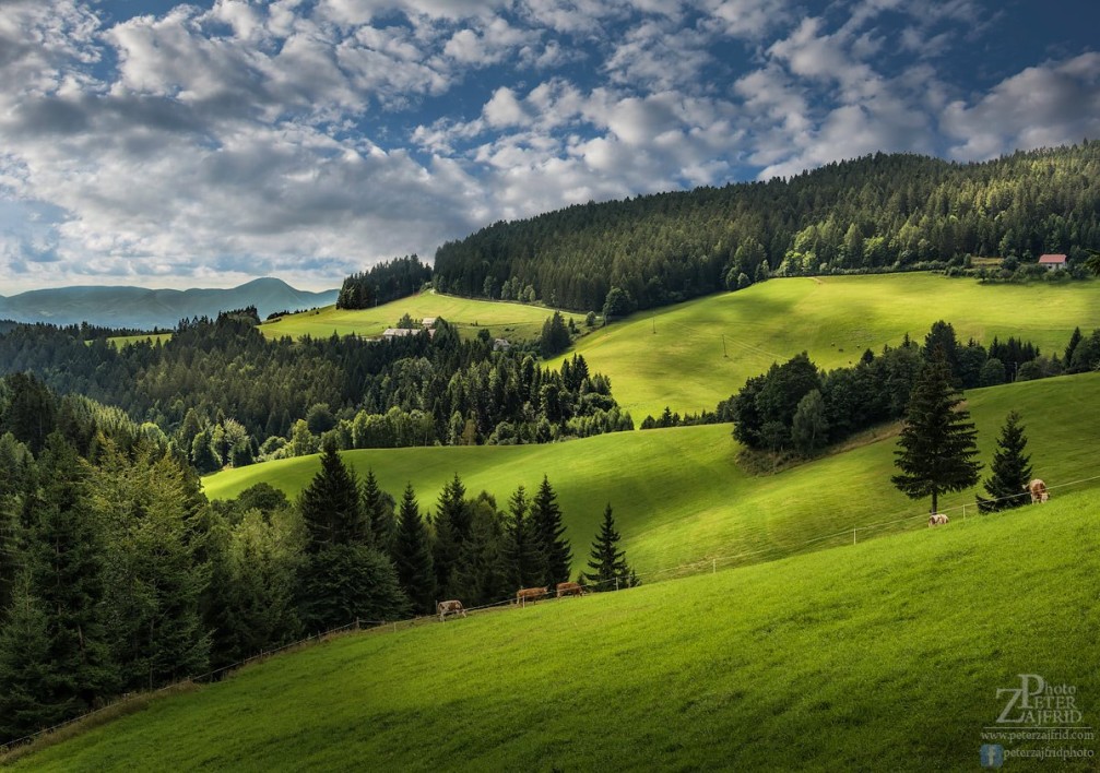 The beautiful, hilly countryside of Bojtina in the Pohorje Hills southwest of Maribor, Slovenia