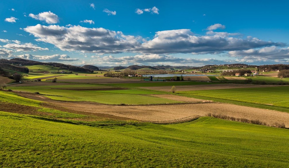 Fields and meadows near the village of Vinicka Vas, east of Maribor