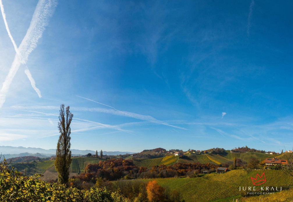 The beautiful vineyard landscape of the Slovene Hills in northeast Slovenia near the Spicnik village