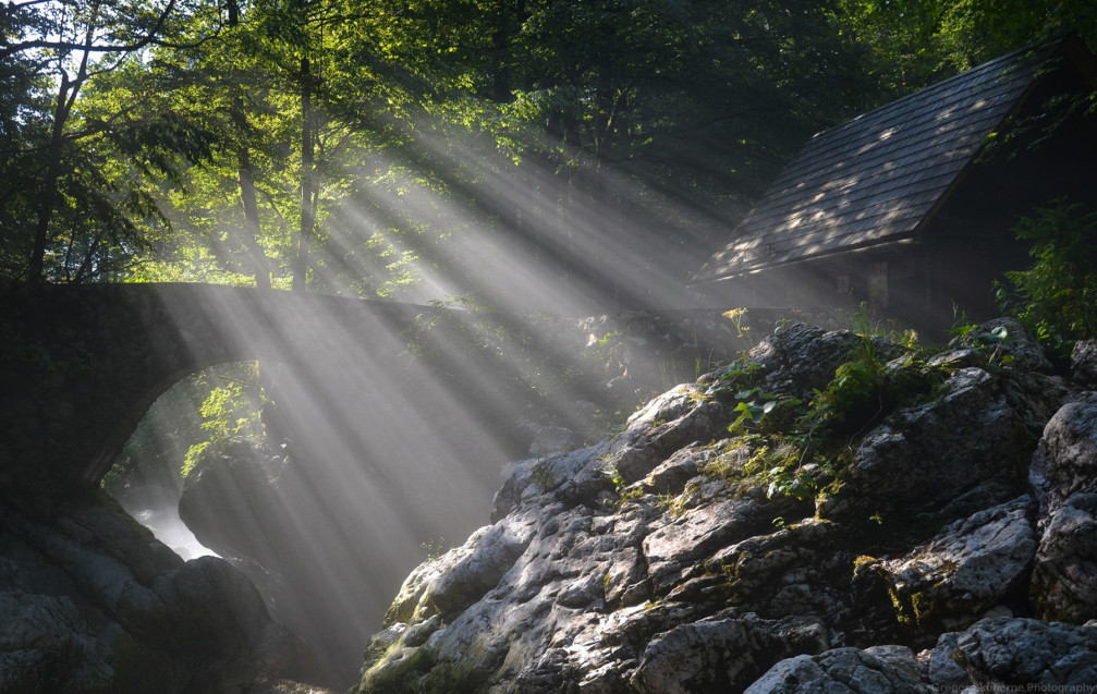 Beautifully captured sun rays filtering through the trees near the Savica waterfall