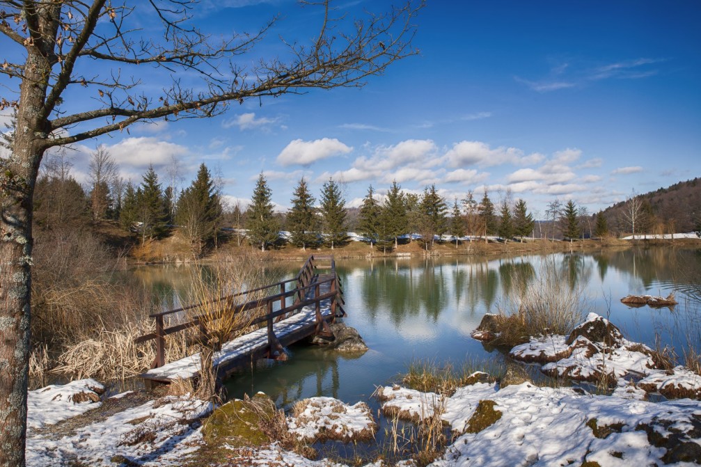 The beautiful Blato Pond located north of the town of Trebnje, Slovenia