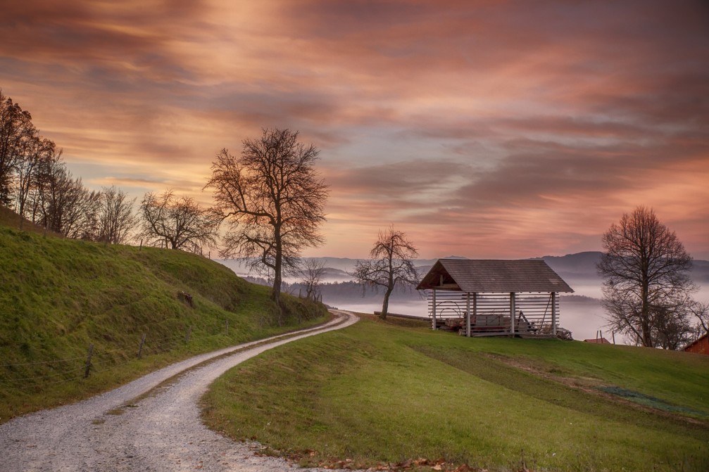 Dirt road leading to the village of Dolgo Brdo in central Slovenia