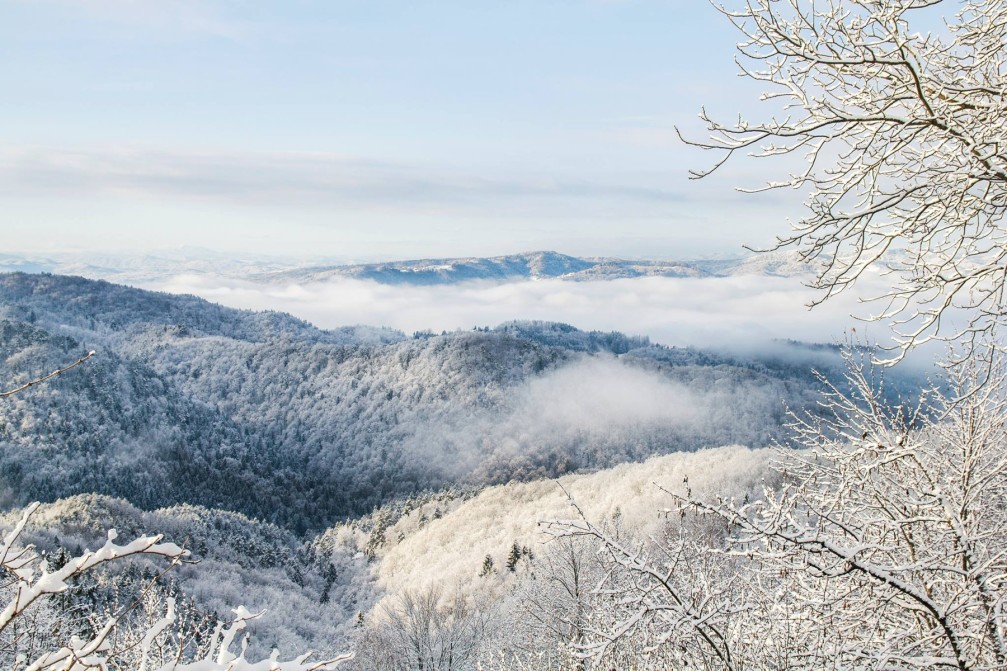 Snowy forests near the Dolgo Brdo village, Slovenia