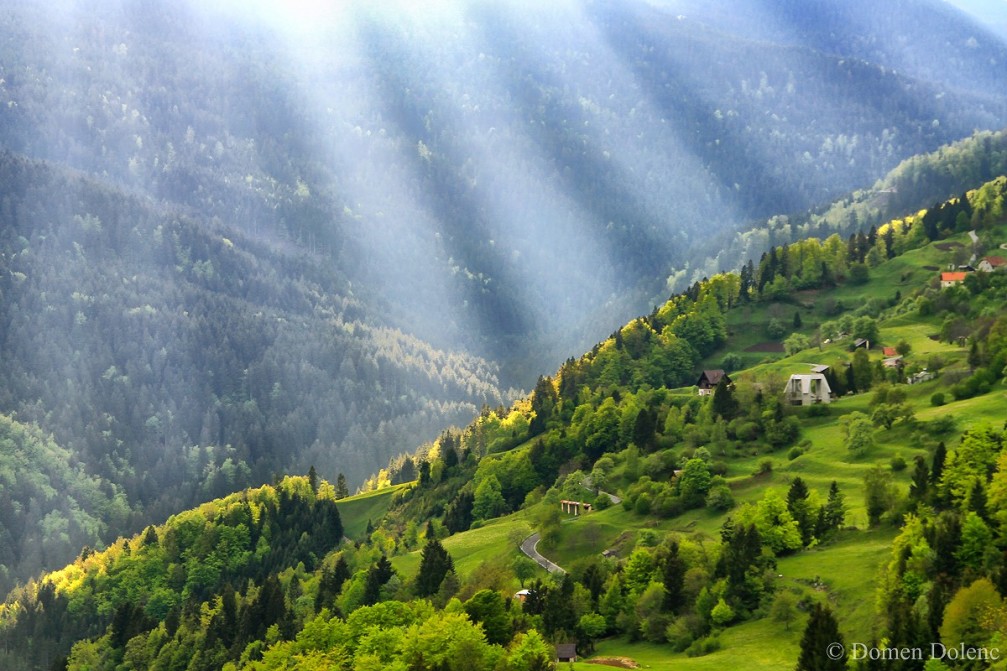 Idyllic spring landscape in Drazgose, Slovenia with fresh green trees