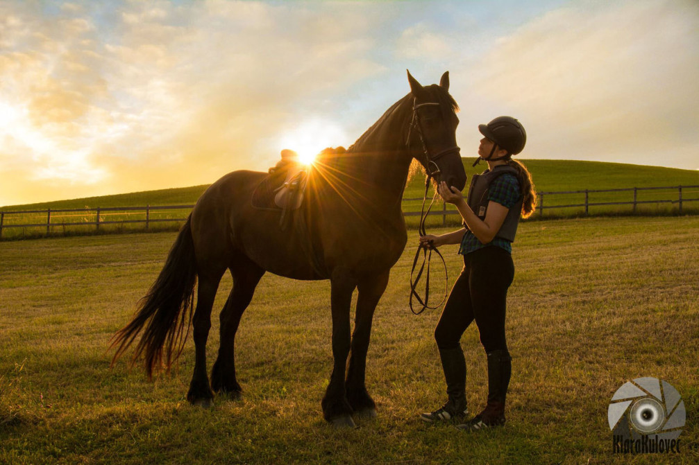 Horse riding in Slovenia