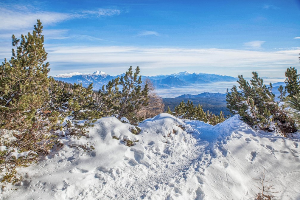 View of the the white Julian Alps in winter