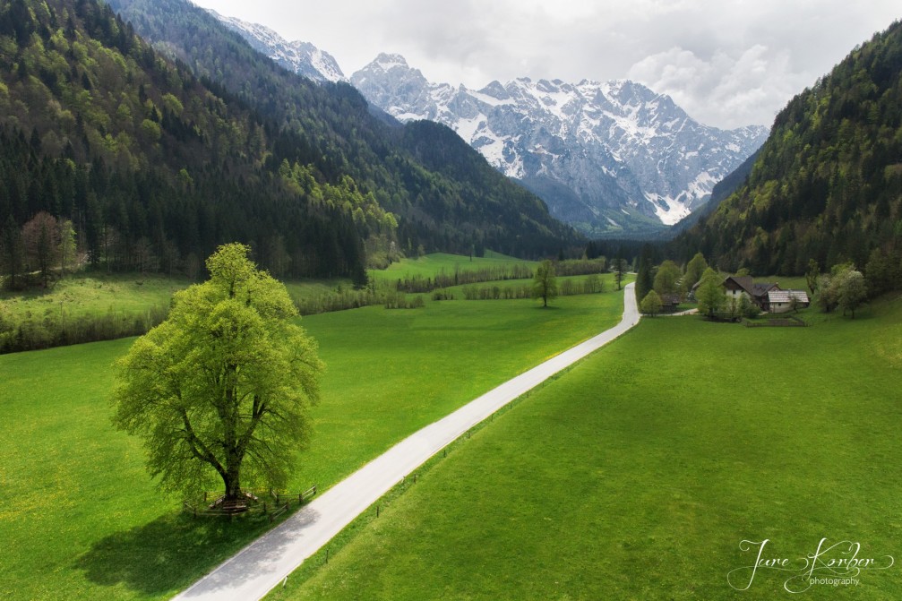 Aerial view of the beautiful green Logar Valley, Slovenia