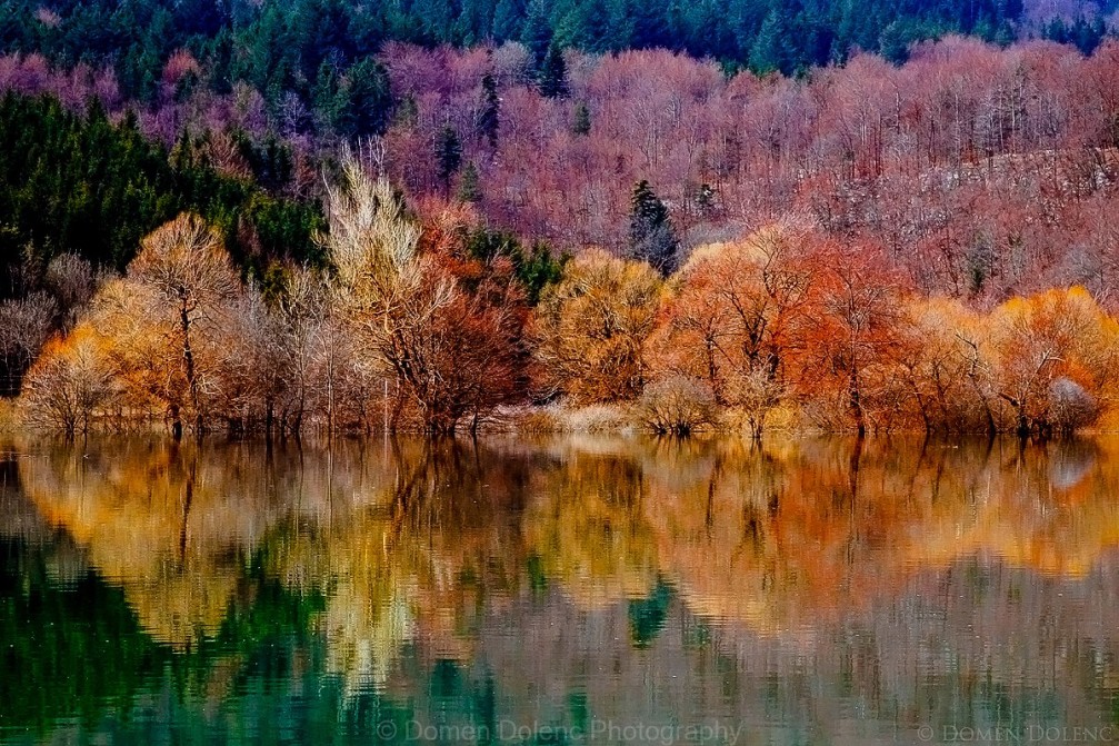  Fall foliage at the Planinsko Polje karst field in Slovenia