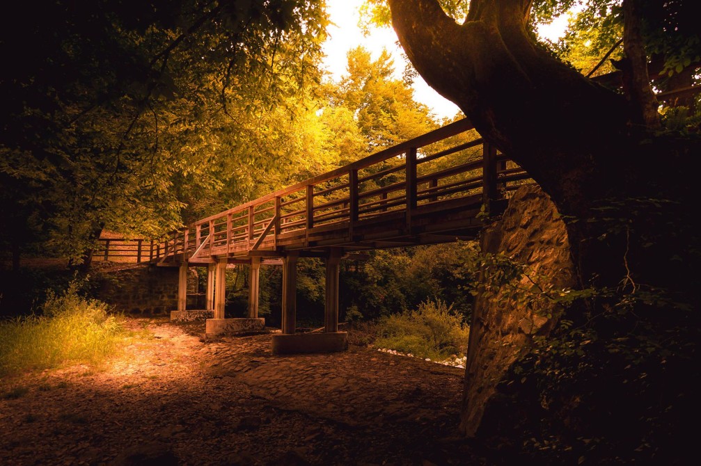 Wooden footbridge in the Retovje valley