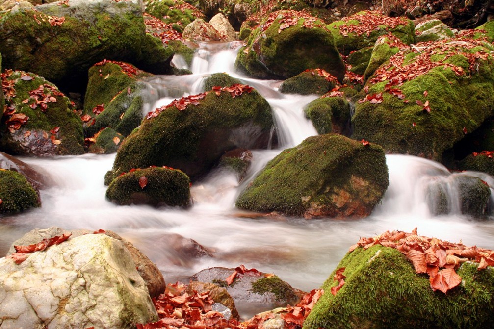 Small waterfalls along the Kropa stream above the Voje valley in the Bohinj area in Slovenia
