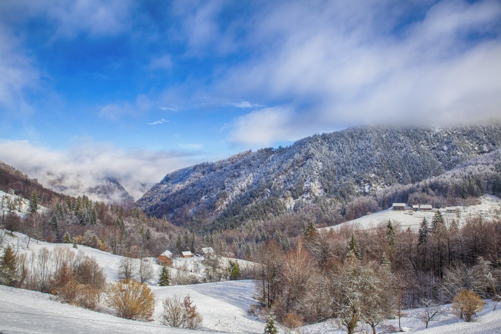 Snowy forests near the Tepe village, Slovenia