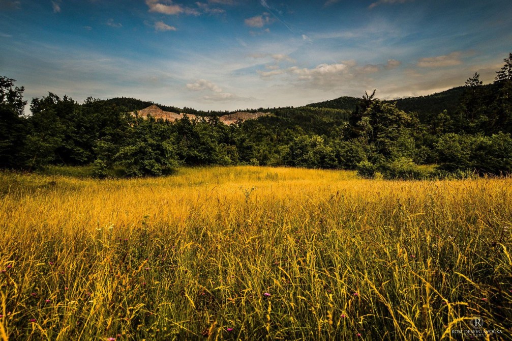 Meadow near the village of Verd near Vrhnika, Slovenia