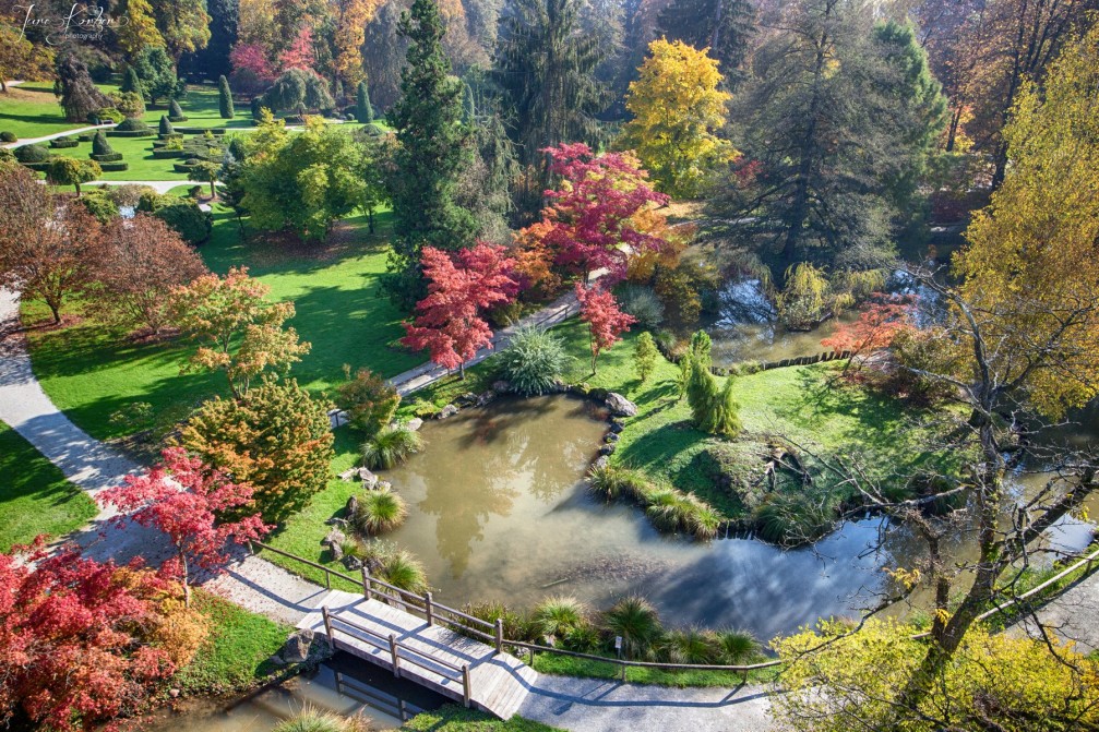 Aerial autumn view of the Volcji Potok Arboretum, the most visited botanical garden in Slovenia