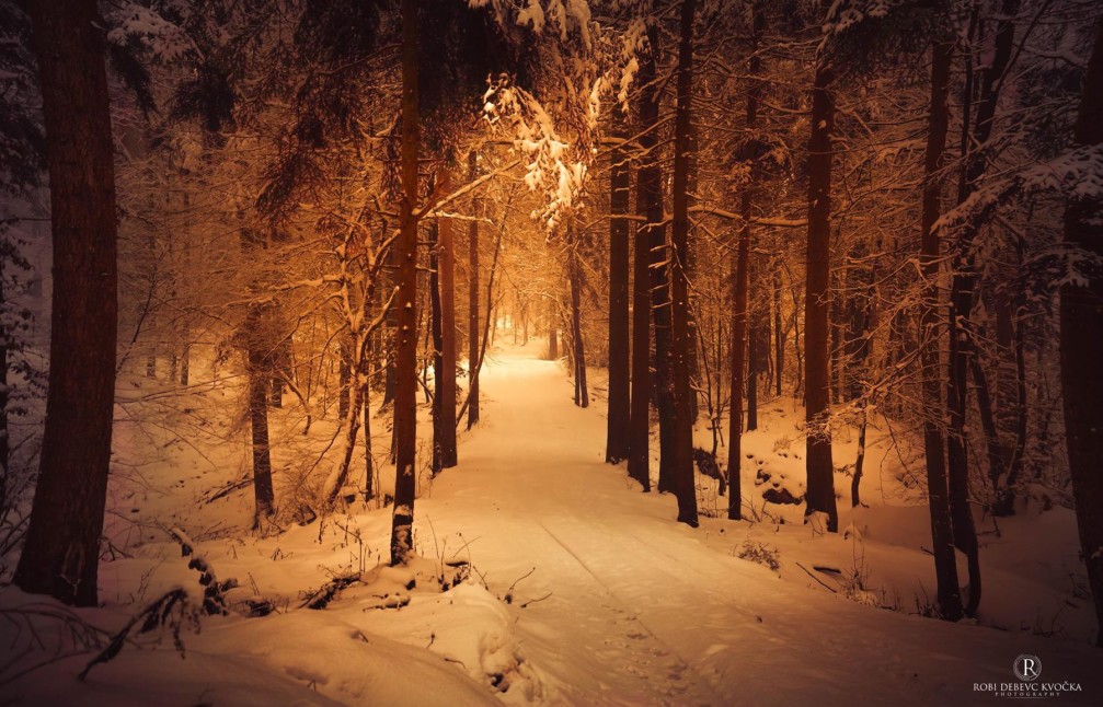 Winter trail through the woods near Vrhnika, Slovenia