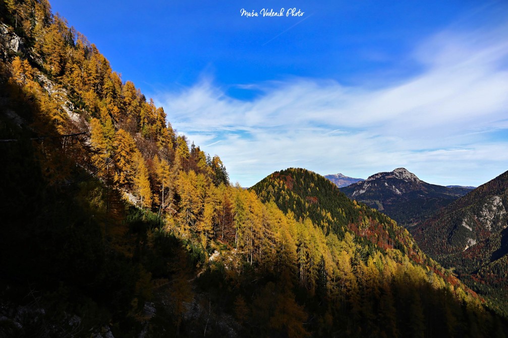 Scenic view of colorful forest in the bottom parts of Kamnik-Savinja Alps in autumn