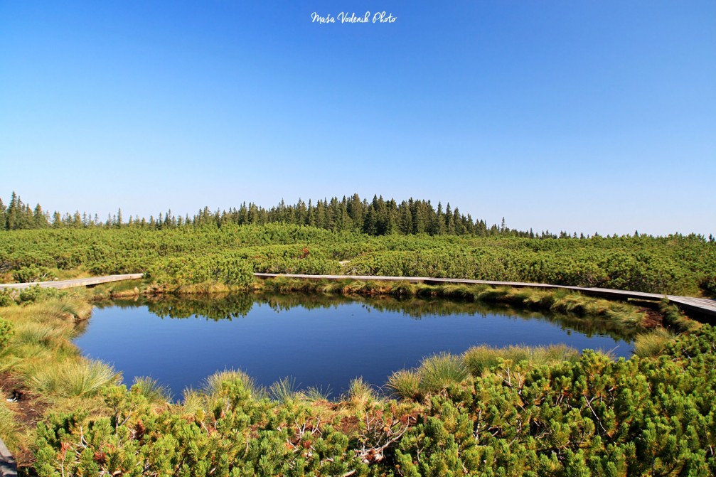 Lovrenc Marsh Lakes, a turf swamp with more than 20 tiny lakes near Rogla, Slovenia