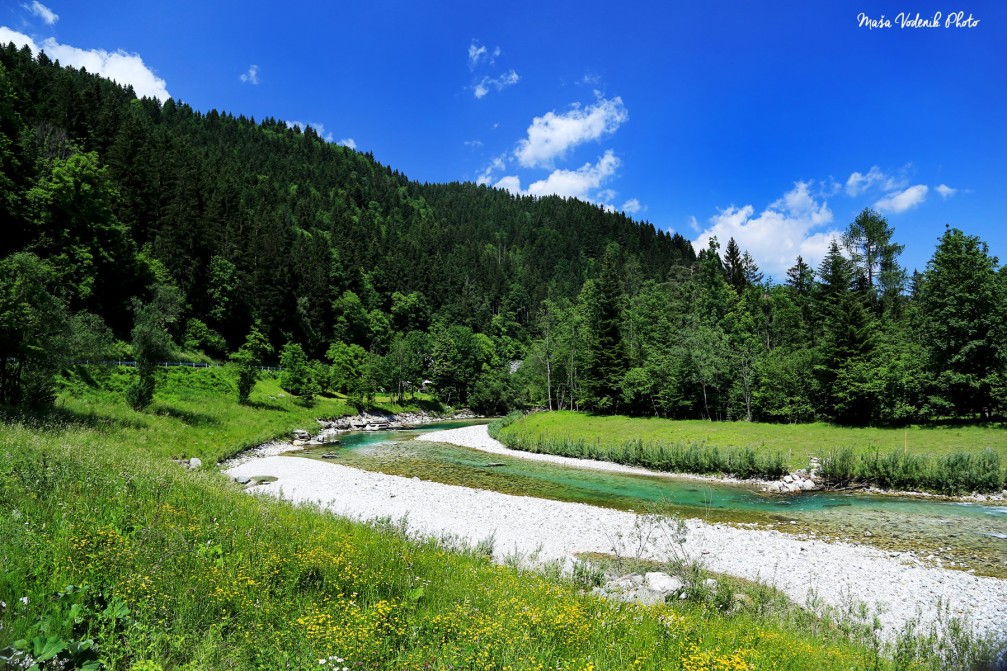 The crystal clear green waters of the Savinja river near the village of Luce, Slovenia