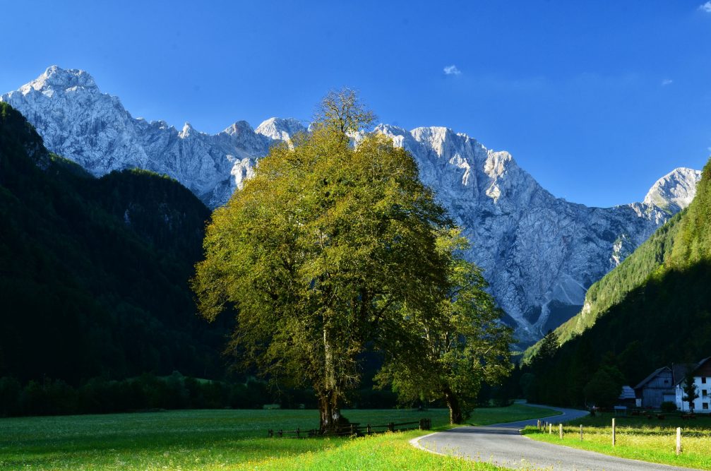 The Logarska Dolina Landscape Park in Solcava in northern Slovenia