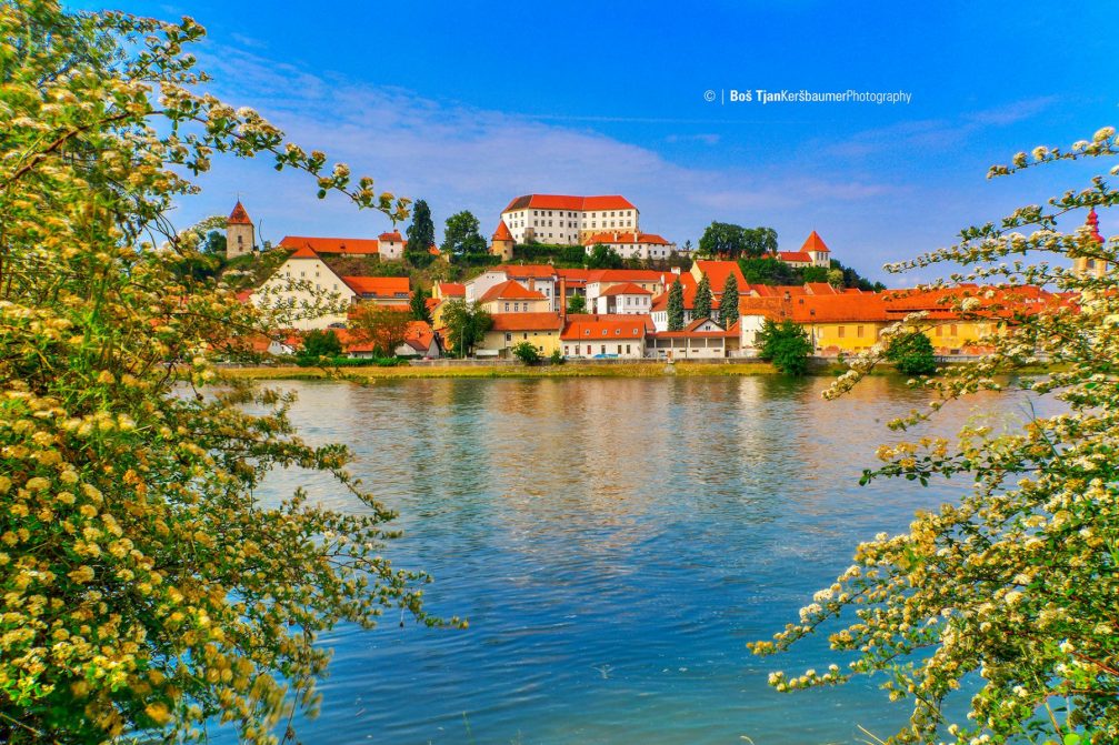 A view of the town of Ptuj and its hilltop castle on a sunny spring day