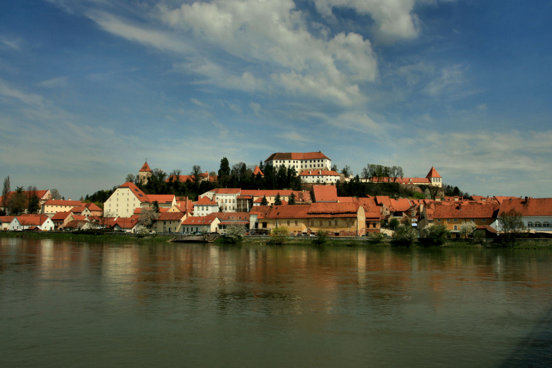 places to visit in ptuj