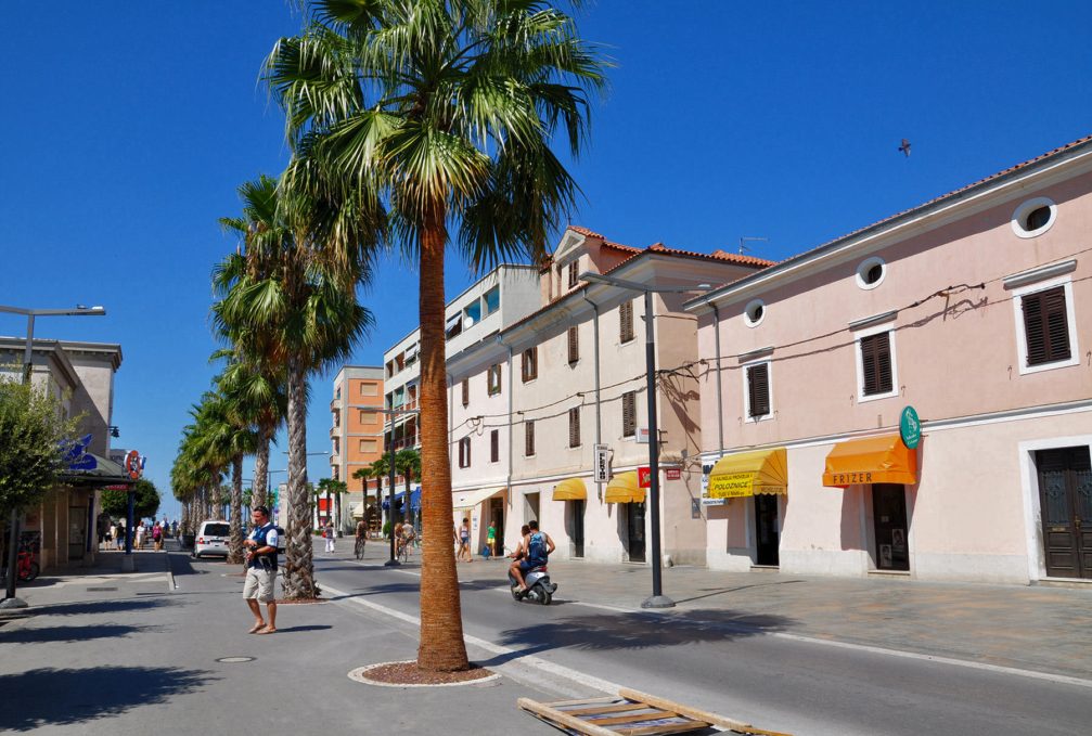 Promenade and palm trees in the Pristaniska Ulica street in Koper, Slovenia