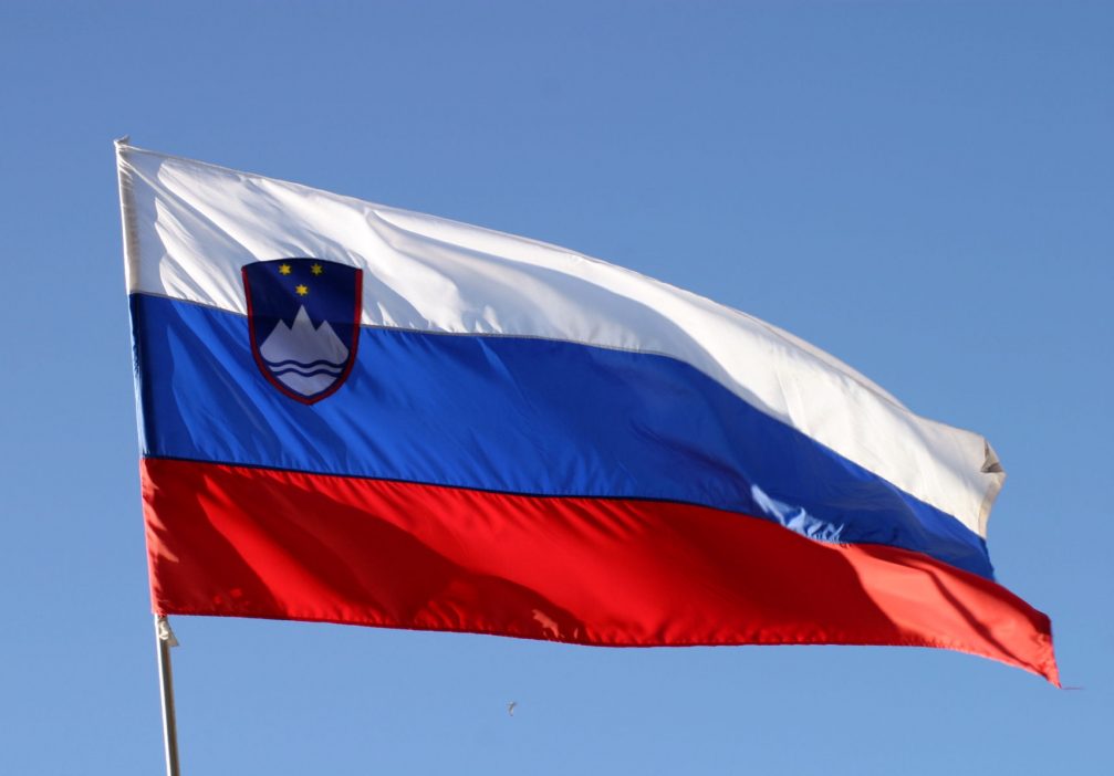 Slovenian Flag