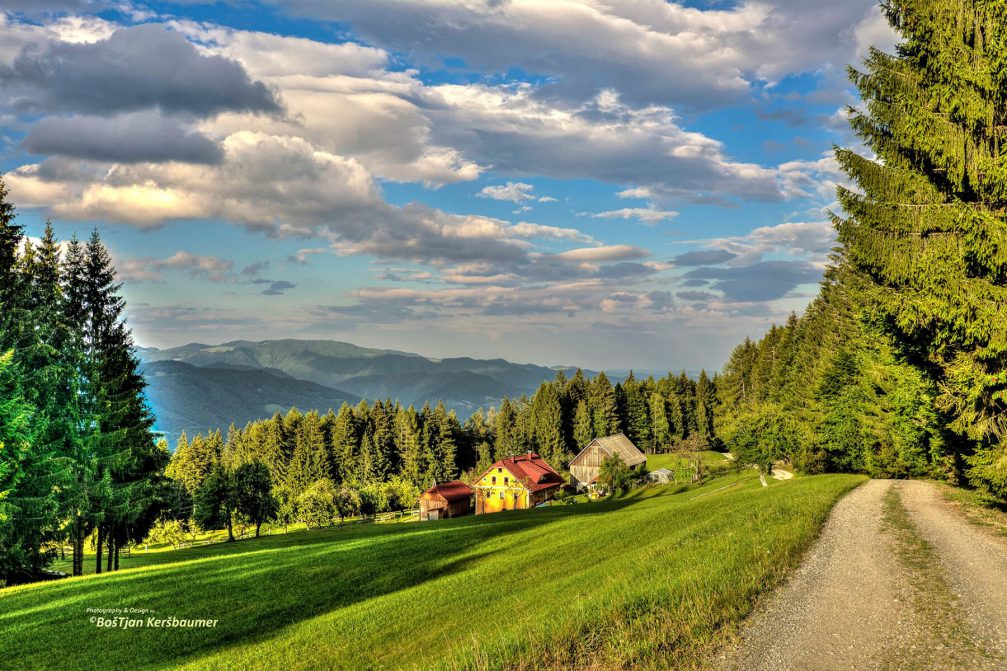 A scenic dirt road leading to the small village of Lovrenc Na Pohorju in the northeast of Slovenia