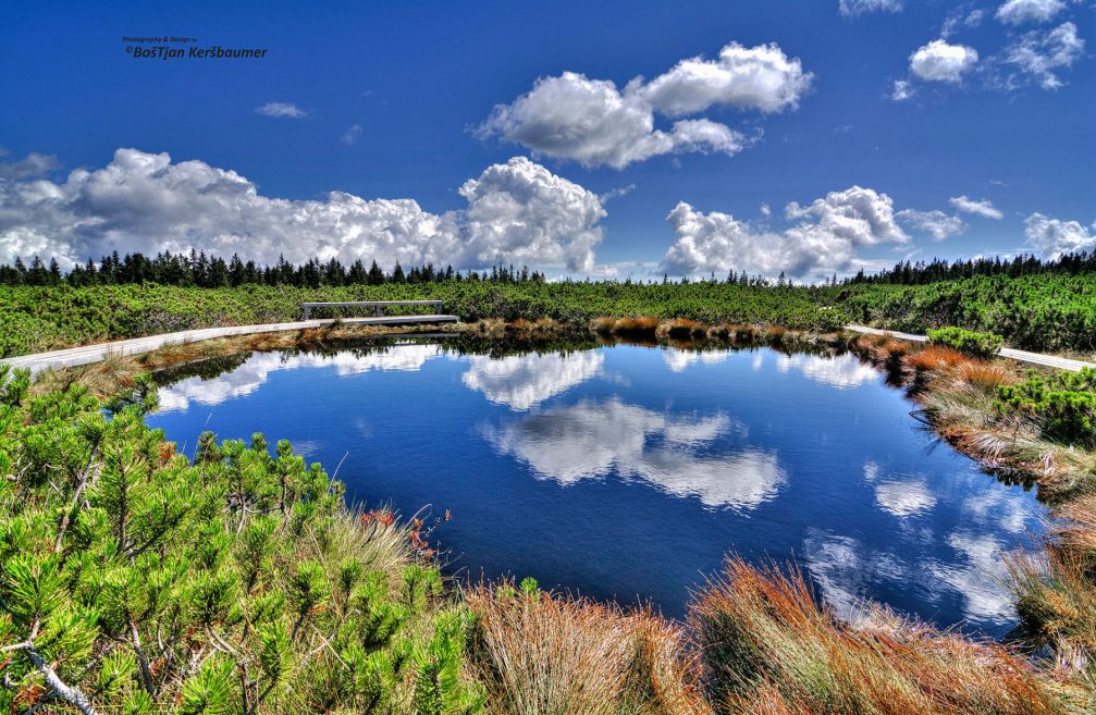 One of the beautiful small Lovrenc Marsh Lakes in the Pohorje massif in north-eastern Slovenia